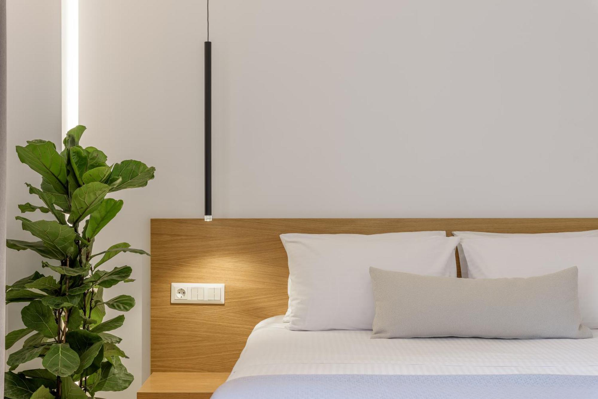 Central Sunny Loft With Plunge Pool Афіни Екстер'єр фото